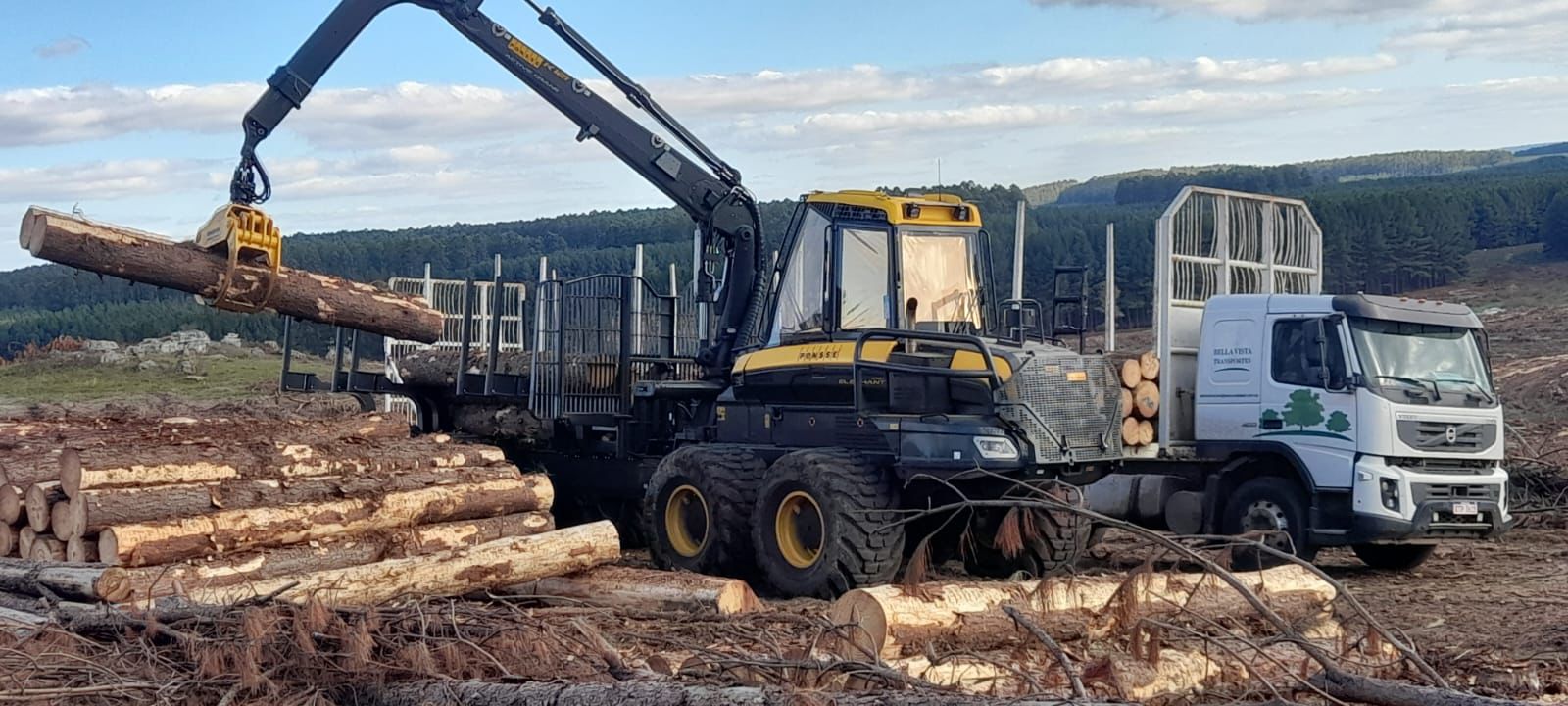 Empresa familiar de servicios forestales en Tacuarembó, Uruguay