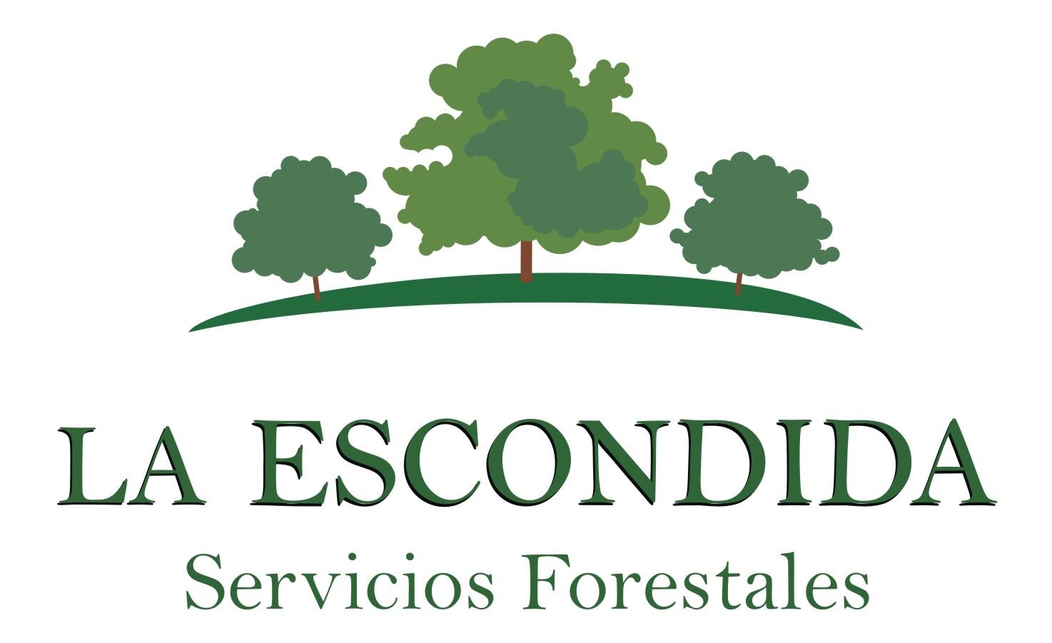 Logo La Escondida - Servicios Forestales del Uruguay